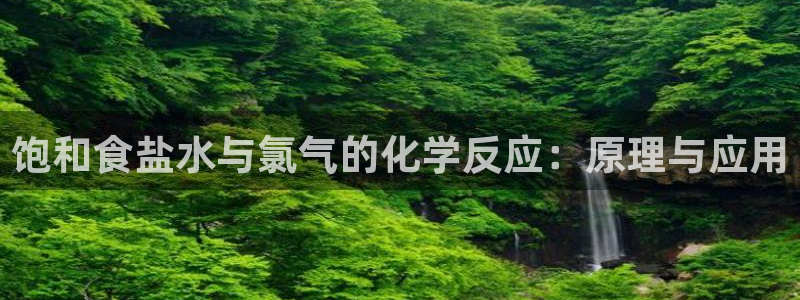 威九国际78mob游戏说明