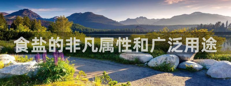 威九国际地址