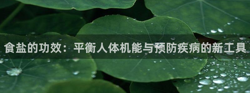 威九国际精甜心诗词网彩片甜心网甜心诗词网
