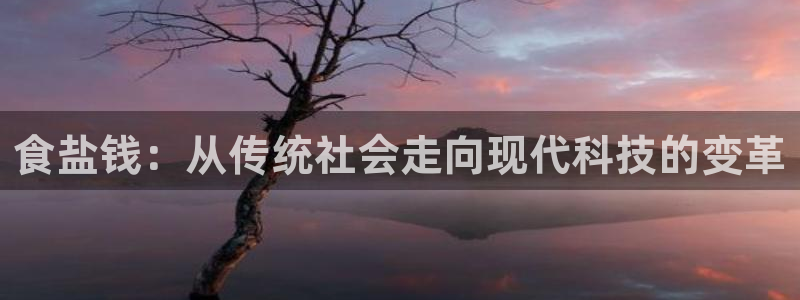 威九国际8ⅹ8x