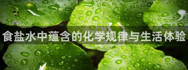 威九国际H