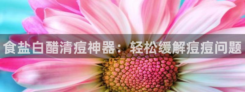 威九国际免费ppt网址
