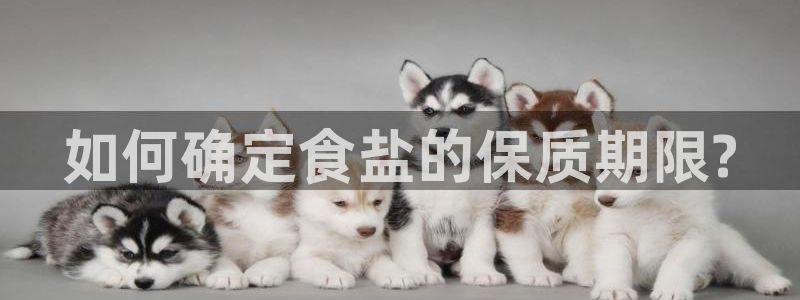 威九国际摩托电影HD