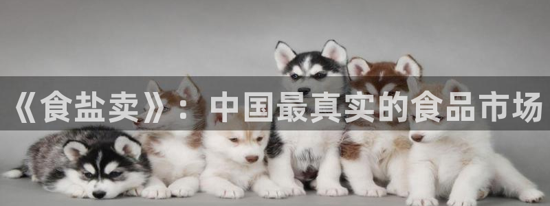 威九国际男主