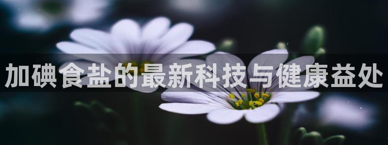 威九国际空降服务女演员叫什么名字