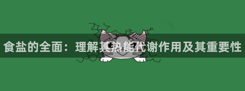 威九国际视频传媒招聘