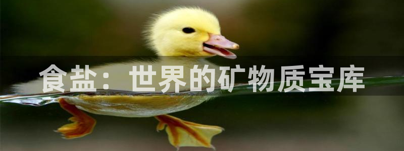 威九国际v96242cc官网版